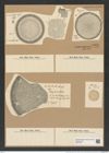 Aulacodiscus rogersii (Bail.) A. Schm. (de-Toni-Nr.: Genus 182, Species 4556) Zeichnungen Sammlung Grunow Nr. 8168 (NHMW-BOT-W0377537)
